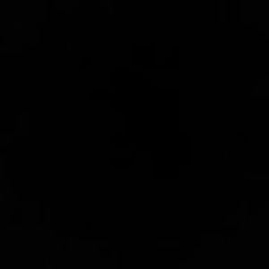 Meet your Posher, Amiellia